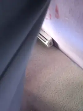 Aztecdecora webcam