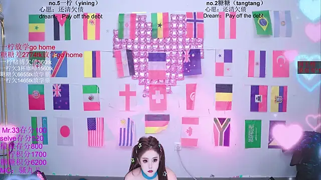 CCTW-100 webcam