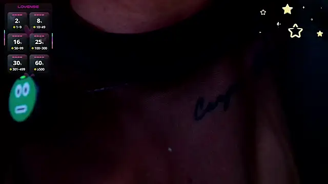 aria_li webcam