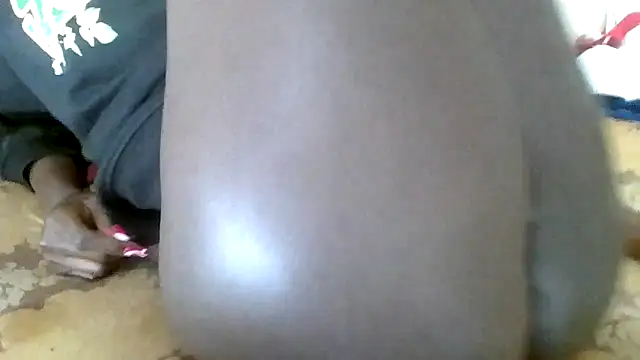 dimphow30 webcam
