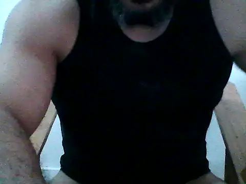 stallony webcam