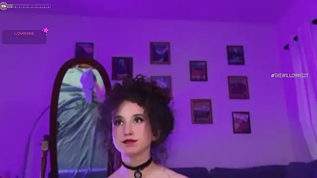 thewillownest_ webcam