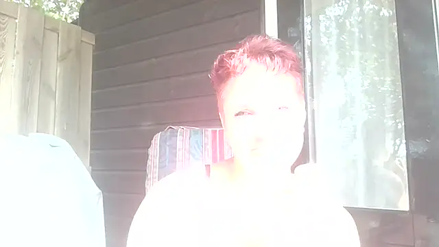 wijMV webcam
