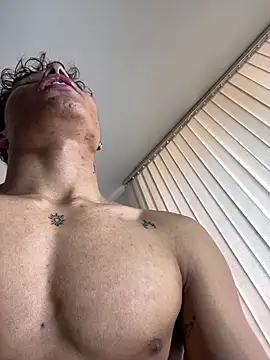 NelModel1 webcam