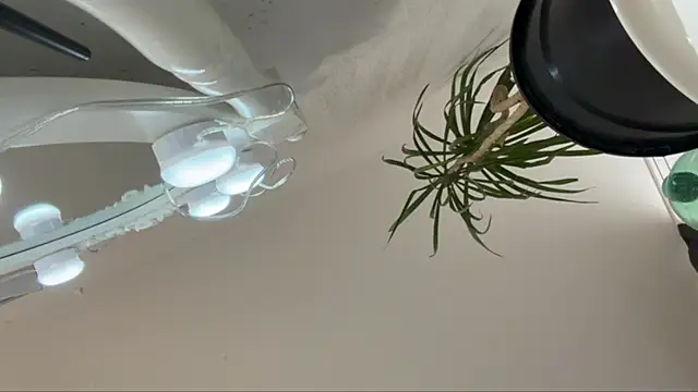 smalllisa webcam