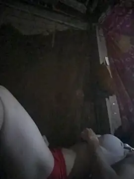 Seiciz webcam
