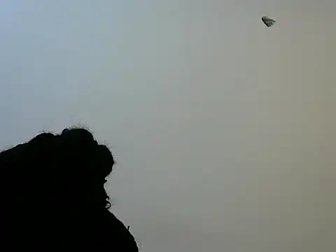 Curvy_lizy webcam