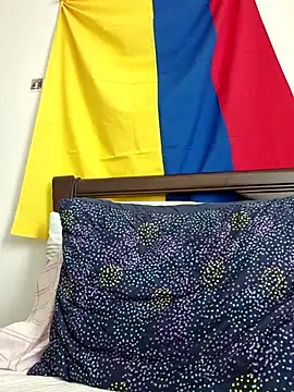 IrisBound webcam