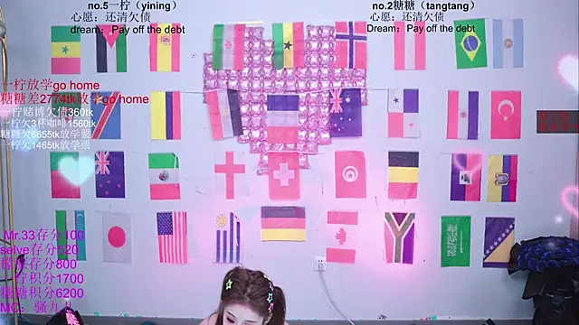CCTW-100 webcam