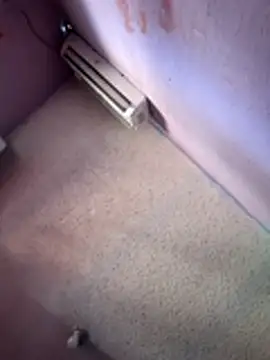 Aztecdecora webcam