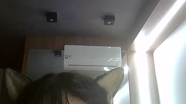 SkinnyKitten webcam