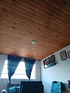 _Dr-Luna_1 webcam