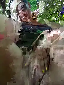 Flacara100 webcam