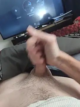BigD9331 webcam
