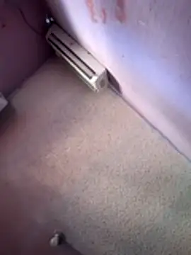 Aztecdecora webcam