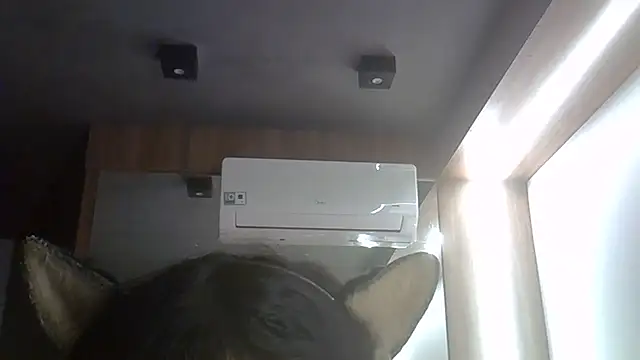 SkinnyKitten webcam