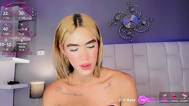 Nikol-hilton webcam