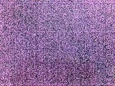elturcudito webcam