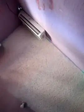 Aztecdecora webcam