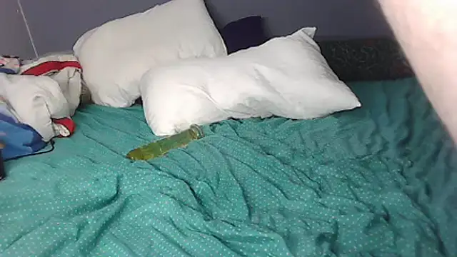 k-dong webcam