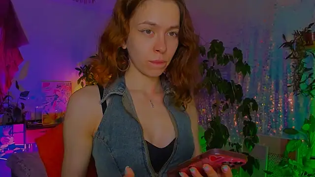 poli__ webcam