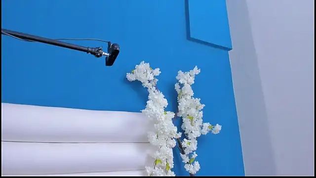 letty_straus webcam