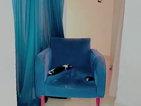 Babe-sofi webcam
