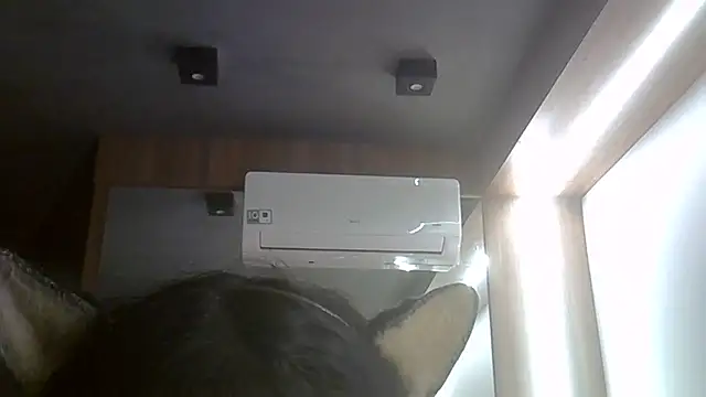 SkinnyKitten webcam