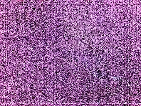 elturcudito webcam