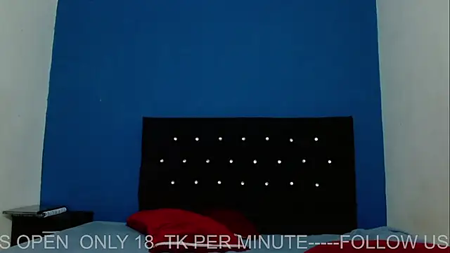 ARIA_AND_NICK webcam