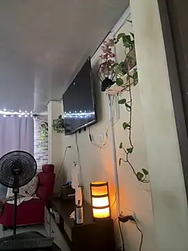 laemmarouse webcam