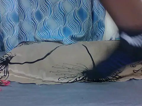 PrettyEve webcam