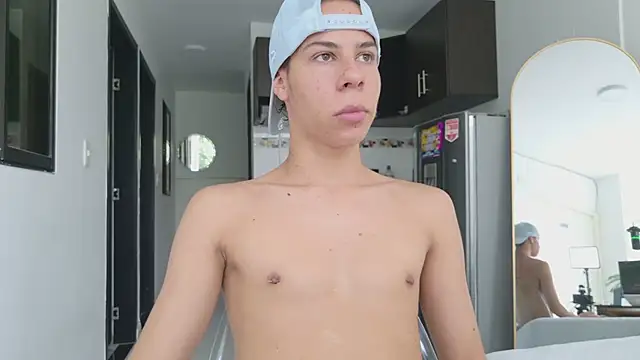 grey___27 webcam