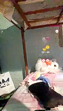 Putaalexa webcam
