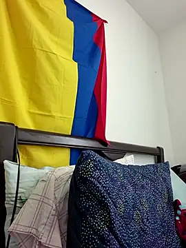 IrisBound webcam