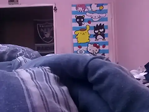 Blkstylion webcam