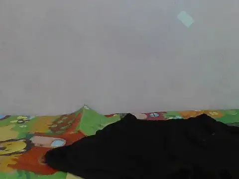 Zineyy webcam