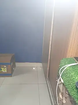 Sexy_Anshika webcam