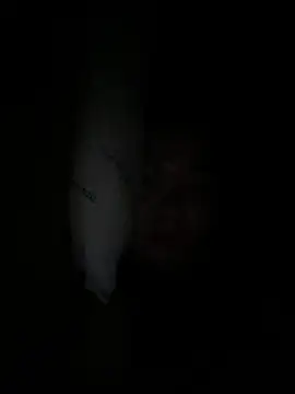 Thu_yaha webcam