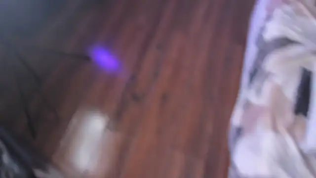 _Cherry_fox webcam