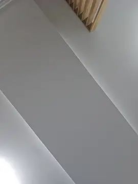 VipFOXXY webcam