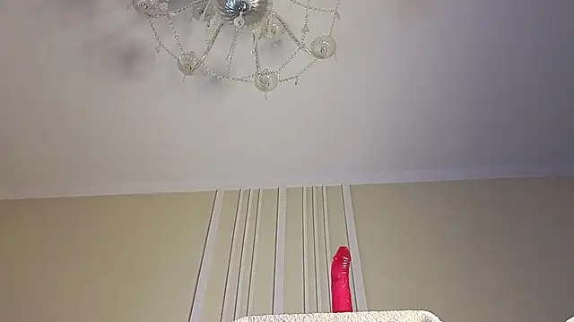 viksons webcam