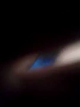 Rizzodan00 webcam