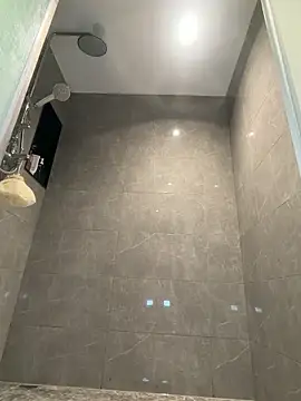 AYW-21 webcam