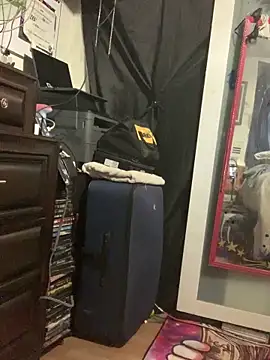 blondebarbiebae webcam