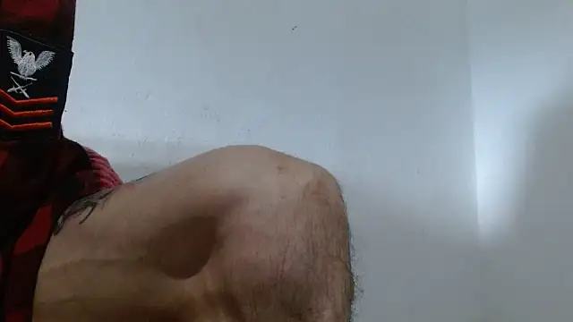 sk8-sir webcam