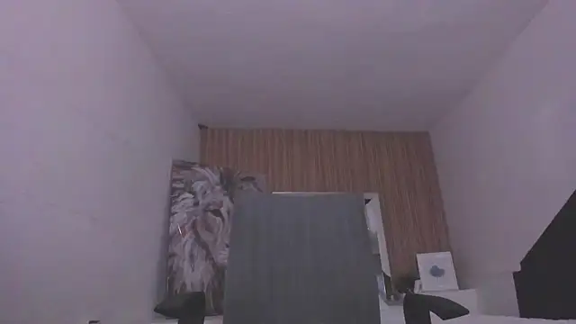 JustNova_ webcam