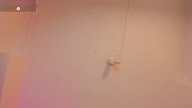 nicol_pierce webcam
