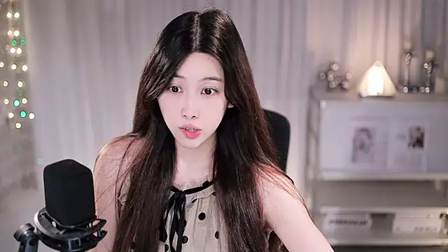 SleepArtist webcam