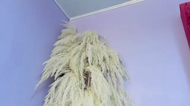 miajhonsonx webcam